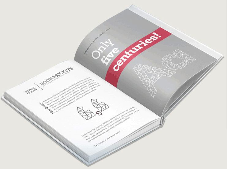 2020年精裝書(shū)冊(cè)宣傳書(shū)籍印刷