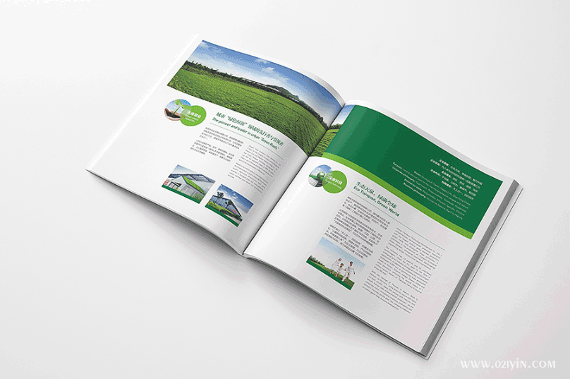 宣傳畫冊(cè)印刷 第4張 宣傳畫冊(cè)印刷 第4張
