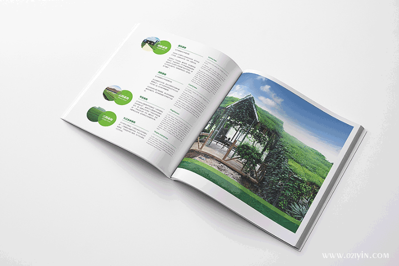 宣傳畫冊(cè)印刷 第3張 宣傳畫冊(cè)印刷 第3張