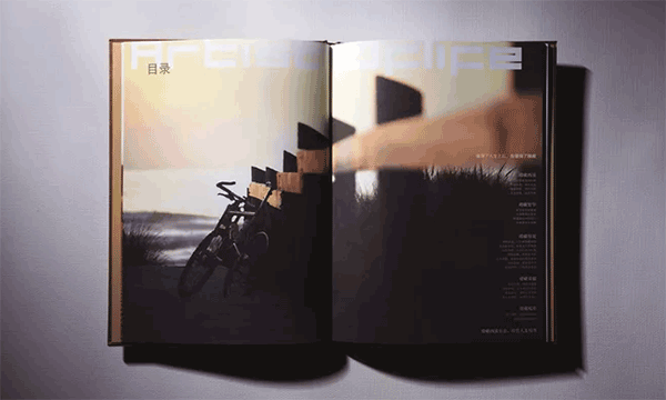 地產(chǎn)畫冊  第3張