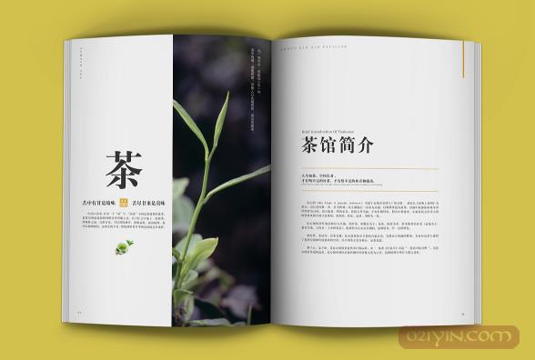 公司畫冊設計需要注意些什么？  第2張