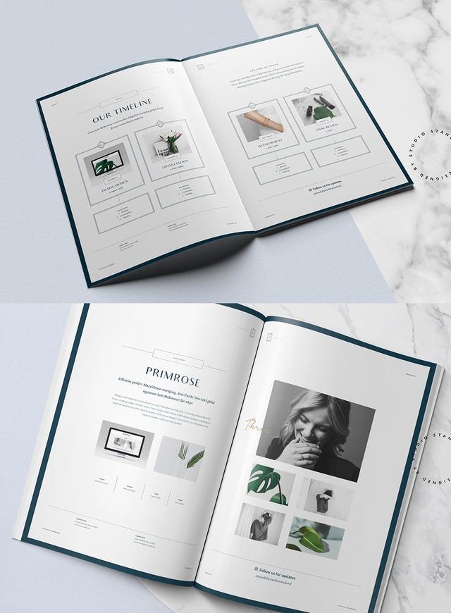 20款現(xiàn)代風格畫冊設計欣賞/折頁設計-畫冊  第13張
