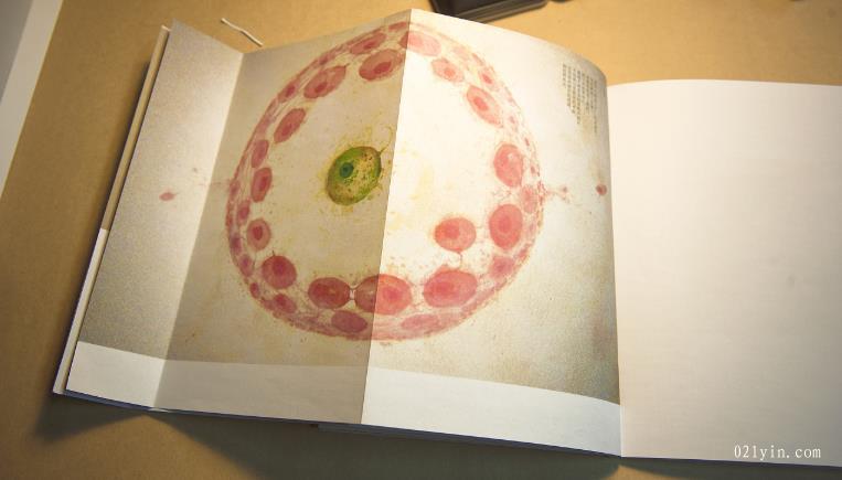 上海印刷公司-什么是重要的公司畫冊(cè)設(shè)計(jì)技巧？  第1張