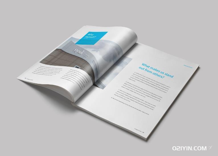 企業(yè)高檔畫(huà)冊(cè)  第3張