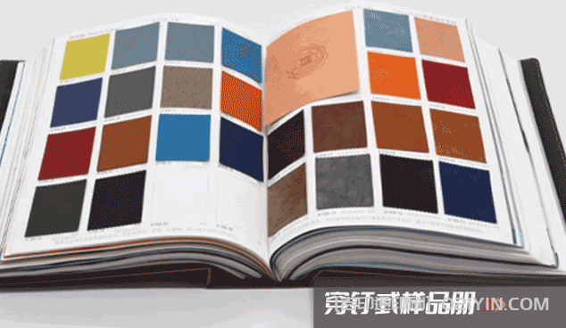 活頁式色卡樣本冊(cè)印刷 第3張 活頁式色卡樣本冊(cè)印刷 第3張