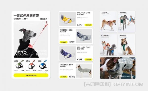 寵物品牌形象VI設(shè)計印刷 第6張 寵物品牌形象VI設(shè)計印刷 第6張