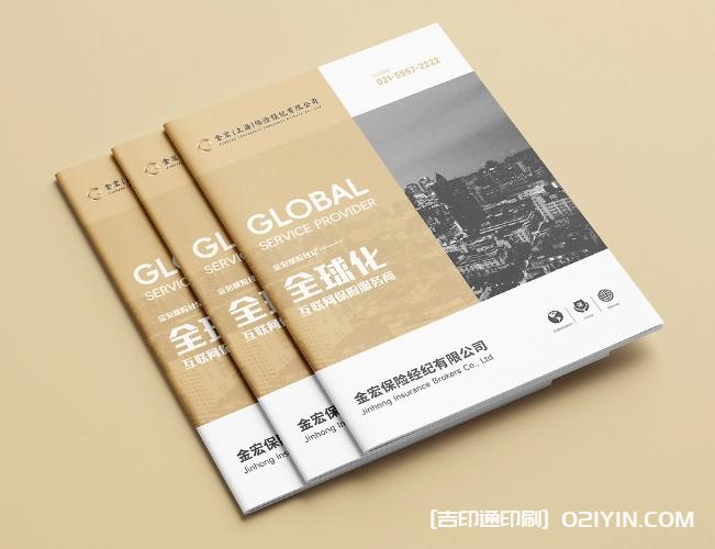 金融保險行業畫冊設計印刷 第1張 金融保險行業畫冊設計印刷 第1張