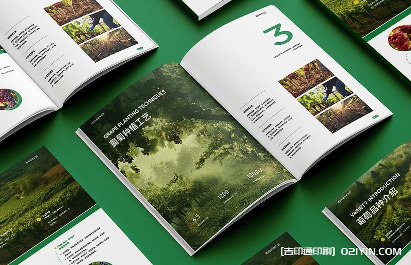 上海產品畫冊印刷避坑指南：文件規范、工期把控與質量驗收要點